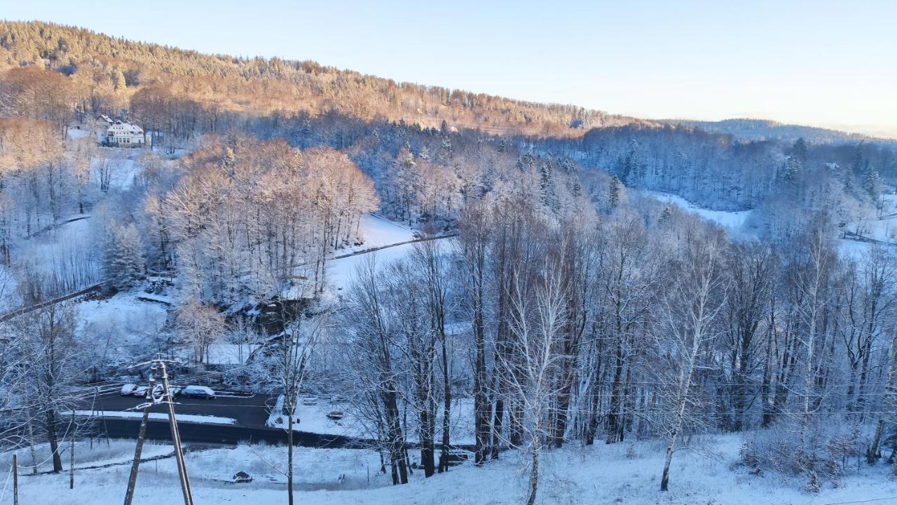Pensjonat Orla Skala Шклярська Поремба Екстер'єр фото