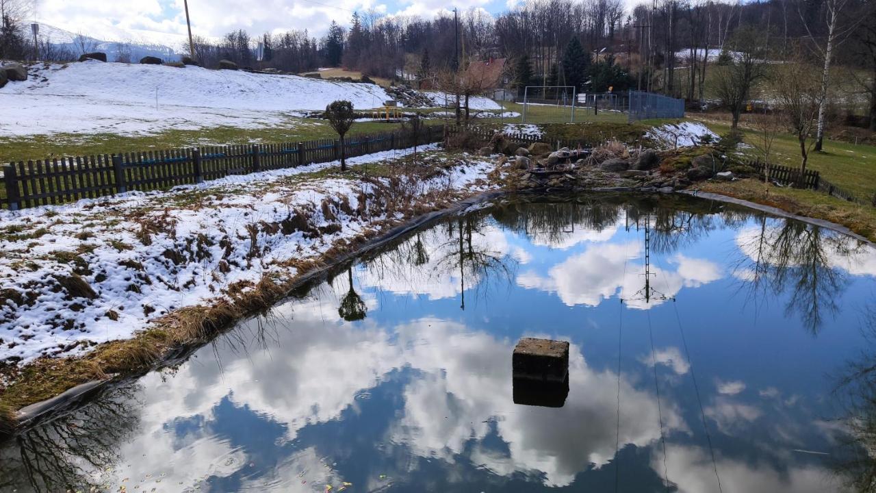 Pensjonat Orla Skala Шклярська Поремба Екстер'єр фото